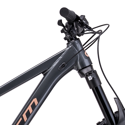 ctm-zephyr-limited-29-d1